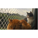 empresa de rede de proteção gatos 3x3 Cidade Patriarca empresa de rede de proteção gatos 3x3 Cidade Patriarca