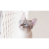 empresa de rede de proteção transparente para gatos Zona Leste empresa de rede de proteção transparente para gatos Zona Leste