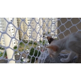 Instalação de Rede de Proteção Gatos 3x3 Instalação de Rede de Proteção Gatos 3x3