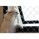 instalação de rede janela para gatos Santos instalação de rede janela para gatos Santos