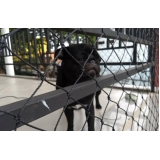 instalação de tela de proteção cão Perdizes instalação de tela de proteção cão Perdizes