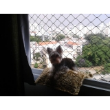 instalação de tela de proteção para cachorro Jardim Acapulco III instalação de tela de proteção para cachorro Jardim Acapulco III