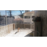 instalação de tela de proteção para cães Vila Romana instalação de tela de proteção para cães Vila Romana