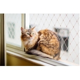 instalação de tela de proteção para gatos Boqueirão instalação de tela de proteção para gatos Boqueirão