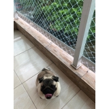 instalação de tela proteção para cachorro valores Taboão instalação de tela proteção para cachorro valores Taboão