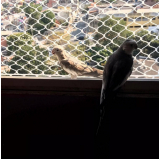 preço de tela de proteção contra pássaros Guarujá