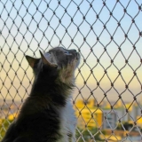 rede de proteção gatos 3x3 Campo Belo rede de proteção gatos 3x3 Campo Belo