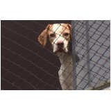 rede de proteção para cães valor Jardim Iva rede de proteção para cães valor Jardim Iva