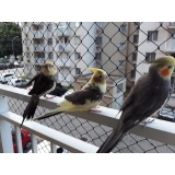 Rede de Proteção para Gatos 3x3 Rede de Proteção para Gatos 3x3