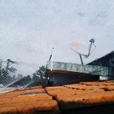 Rede Proteção Gatos Rede Proteção Gatos