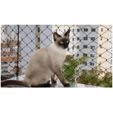 rede proteção gatos Parque São Rafael rede proteção gatos Parque São Rafael