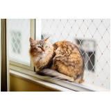 Rede de Segurança para Gatos