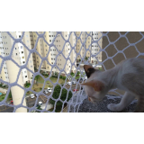 Redes Proteção para Gatos