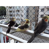 tela de proteção pássaros Parque das Nações