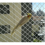 Tela Anti Pássaros para Proteção Tela Anti Pássaros para Proteção